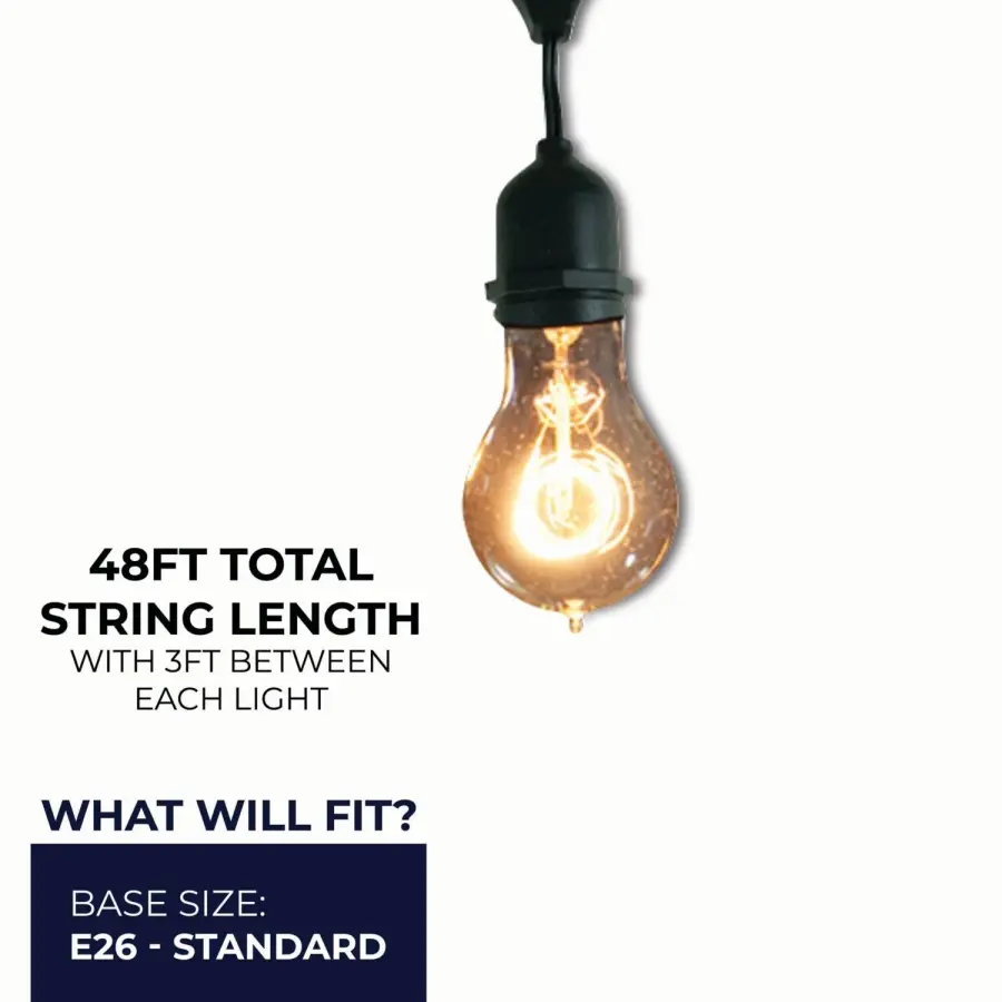 48' Edison String Lights with 15 A19 Bulbs - Image 5