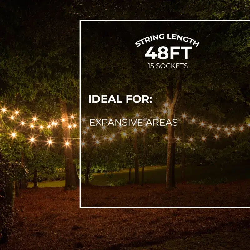 48' Edison String Lights with 15 A19 Bulbs - Image 7
