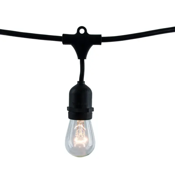 14' Black String Lights with 10 Clear S14 Bulbs - Image 1