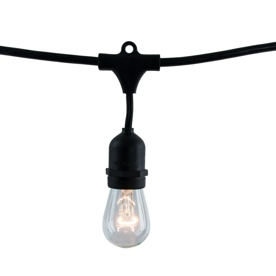 30-Foot Black String Lights with 12 S14 Clear Bulbs - Image 1