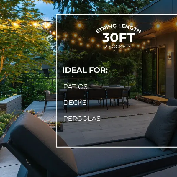 30-Foot Black String Lights with 12 S14 Clear Bulbs - Image 6