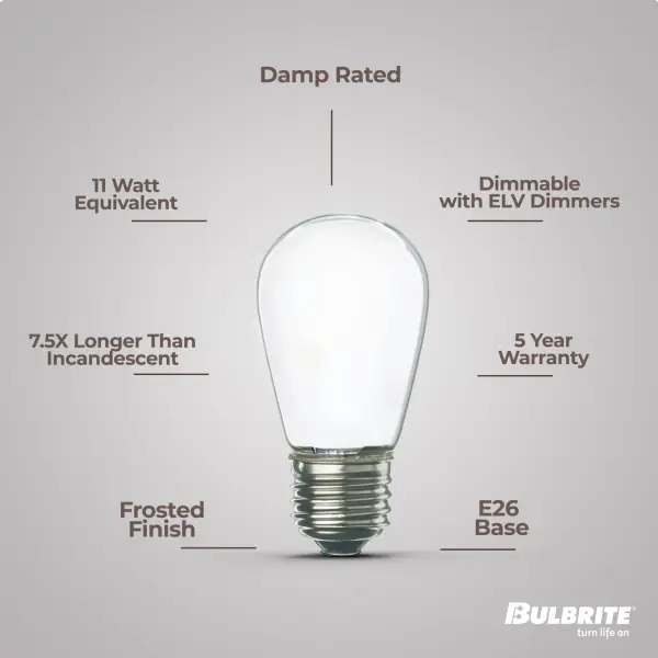 S14 LED Filament Bulb - Frost Finish - Image 6