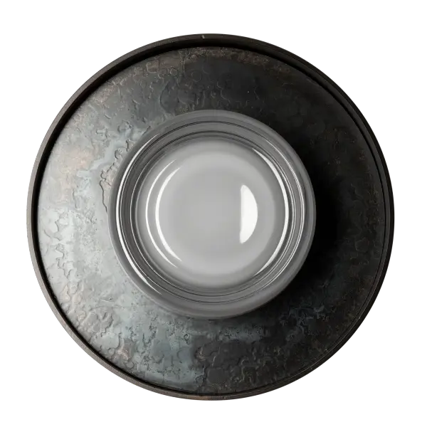 Focal Large Sconce/Flush Mount - Image 5