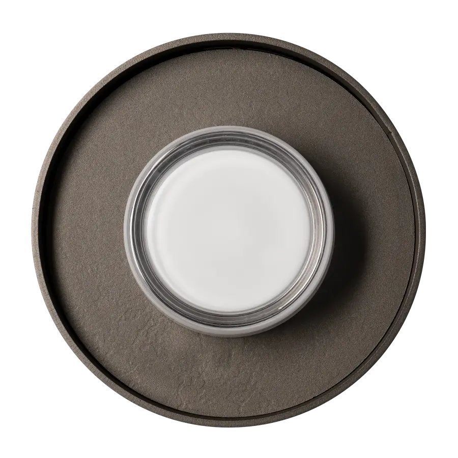 Focal Small Sconce/Flush Mount - Image 5