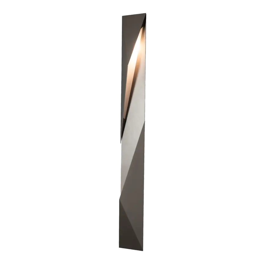 Carbon Large Outdoor Sconce - Image 2