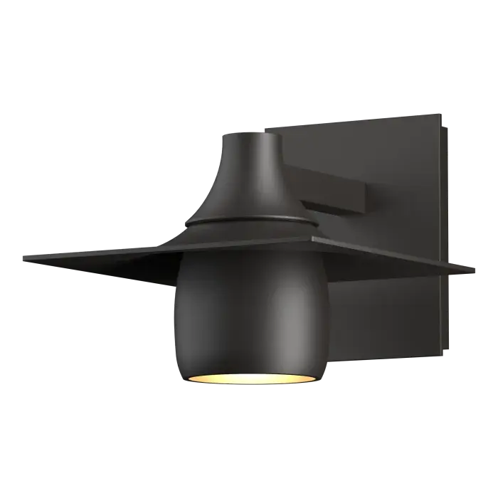Hood Dark Sky Outdoor Sconce