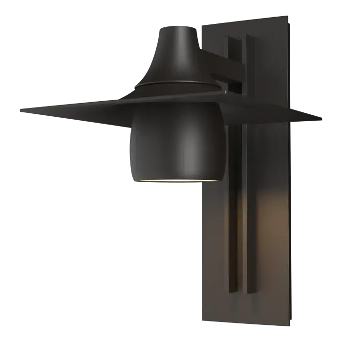 Hood Large Dark Sky Outdoor Sconce