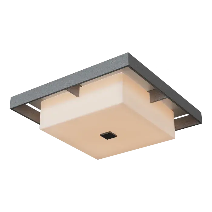 Shadow Box Large Outdoor Flush Mount