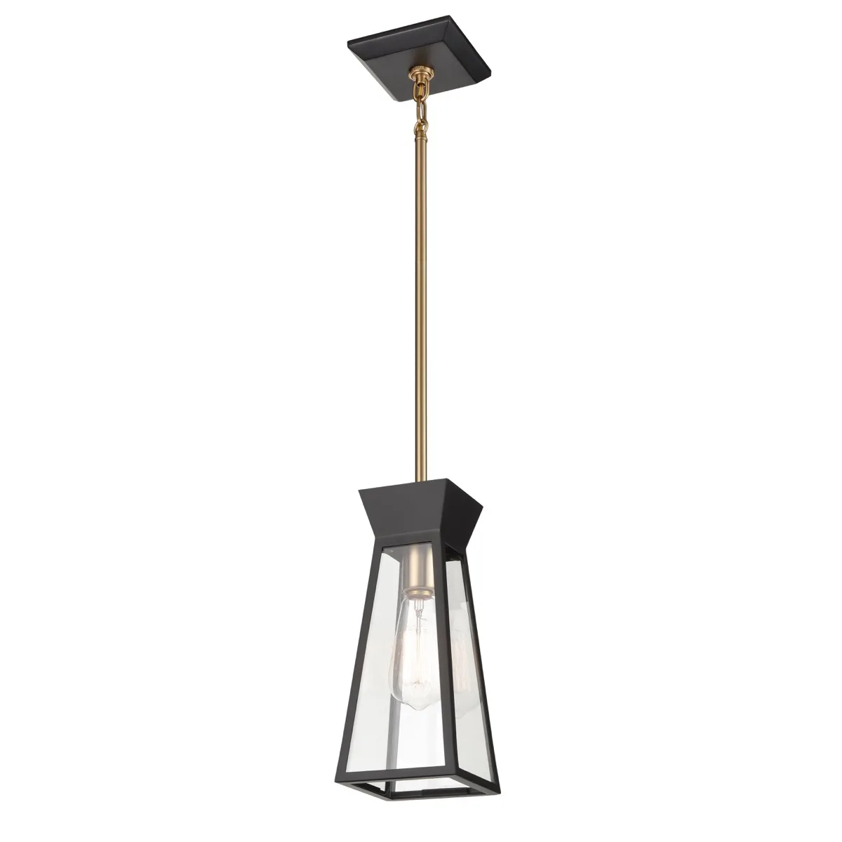 Lucian One Light Pendant in Black and Brushed Brass