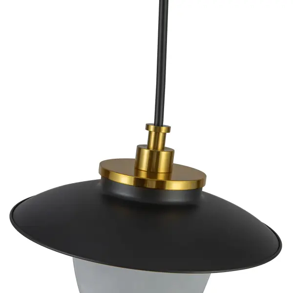 The Dahlia by Artcraft Lighting - Image 13