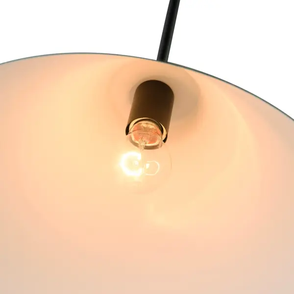 Baltic Collection 1-Light Pendant Black and - Image 5