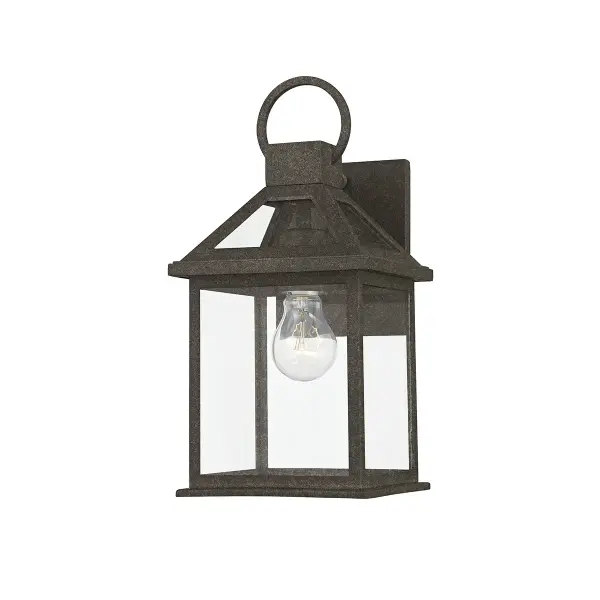 Sanders One Light Outdoor Wall Sconce in French Iron