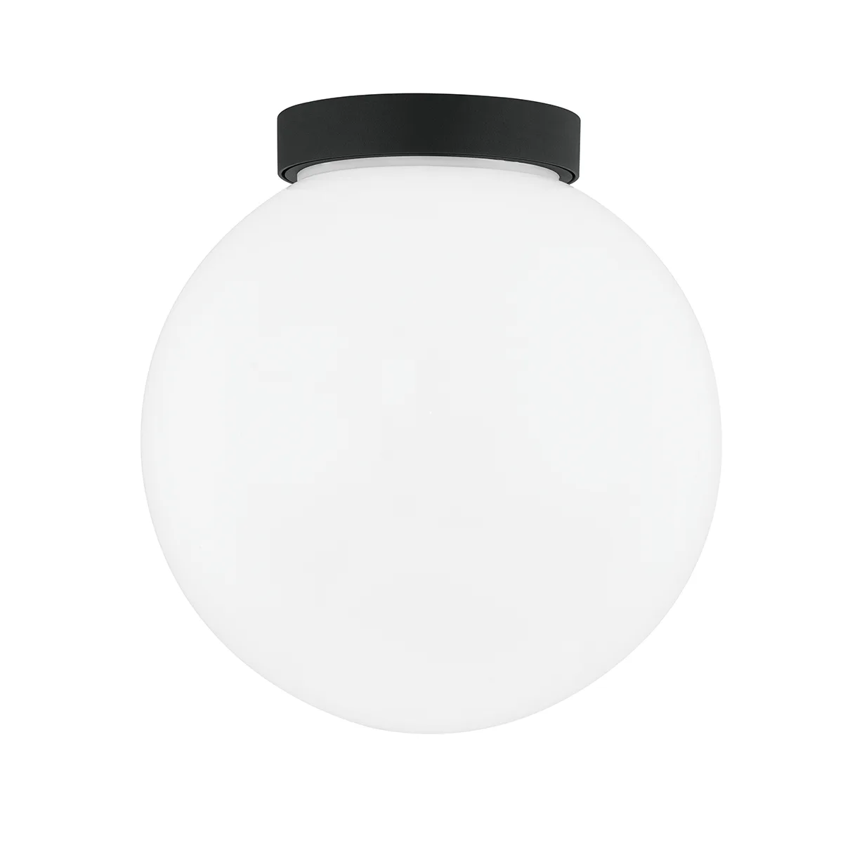 Ansel One Light Wall Sconce in Textured Black