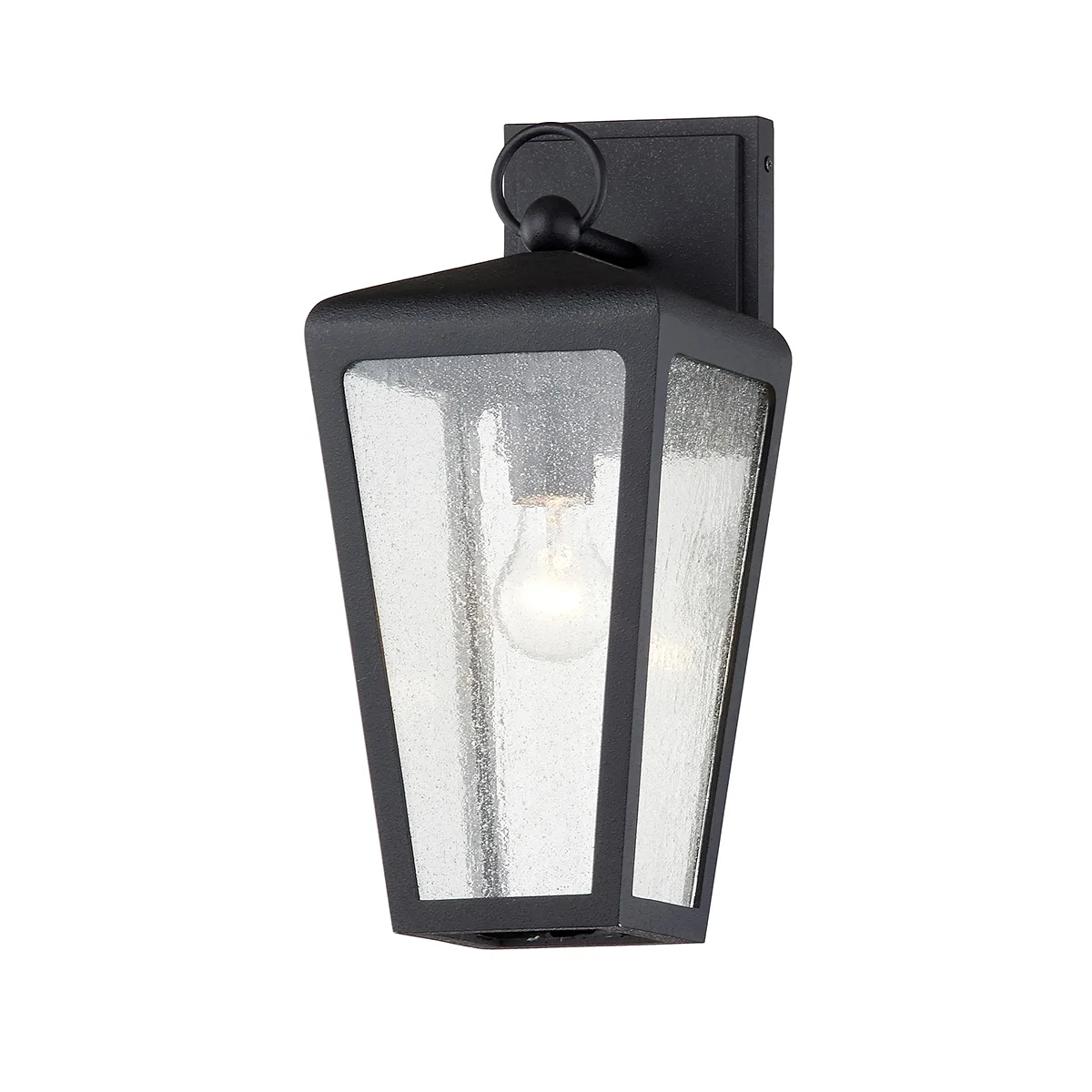 Mariden One Light Wall Sconce in Textured Iron