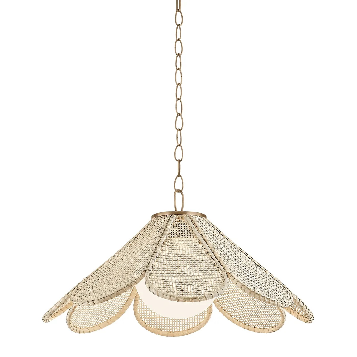 Petal One Light Pendant in Patina Brass