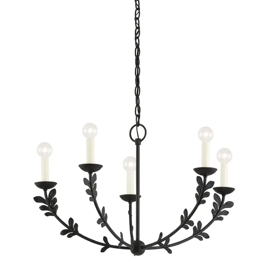 Florian Five Light Chandelier in Black Iron