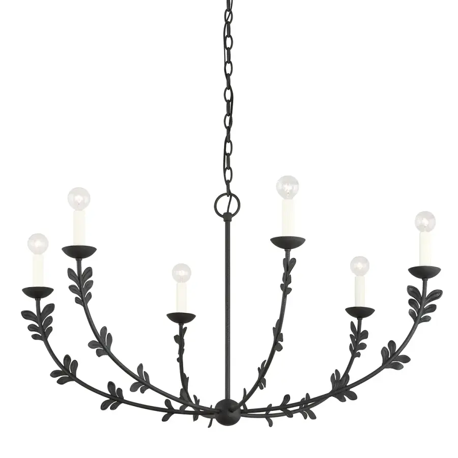 Florian Six Light Chandelier in Black Iron