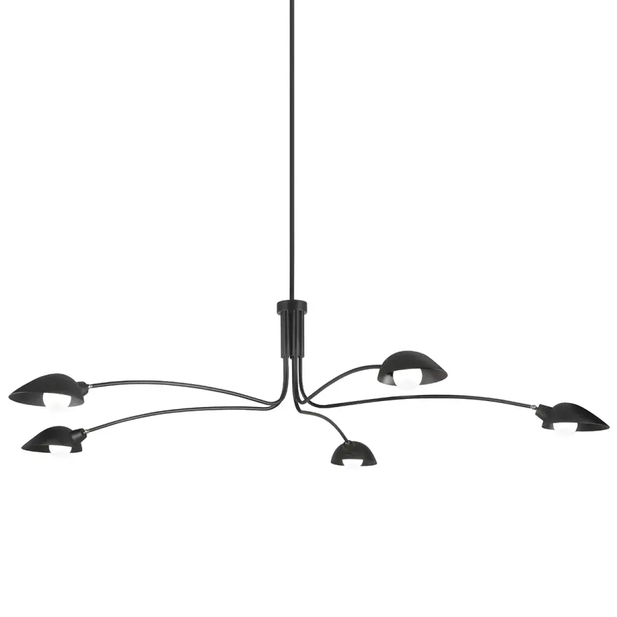 Leo Five Light Chandelier in Soft Black