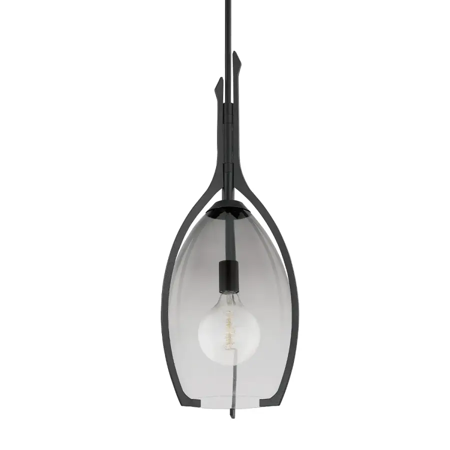 Pacifica One Light Pendant in Forged Iron