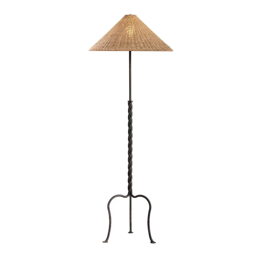 Francisco One Light Floor Lamp in French Iron