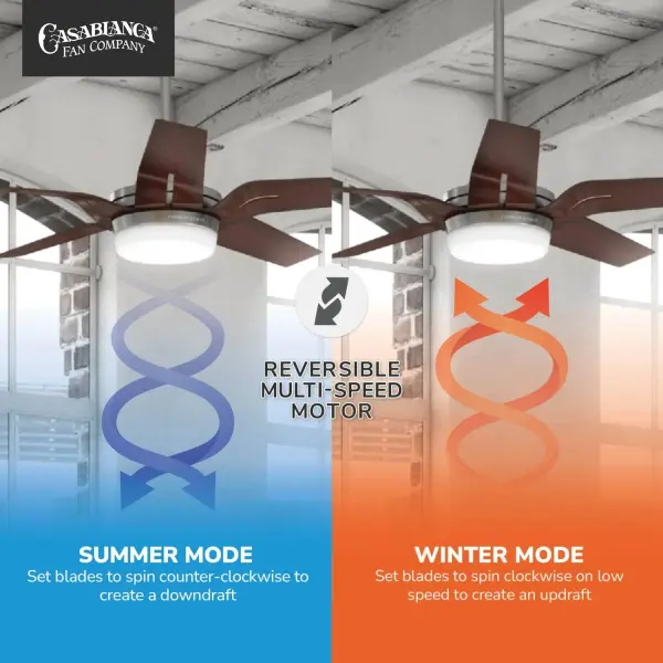 Correne 56" LED Ceiling Fan with Light - Image 13