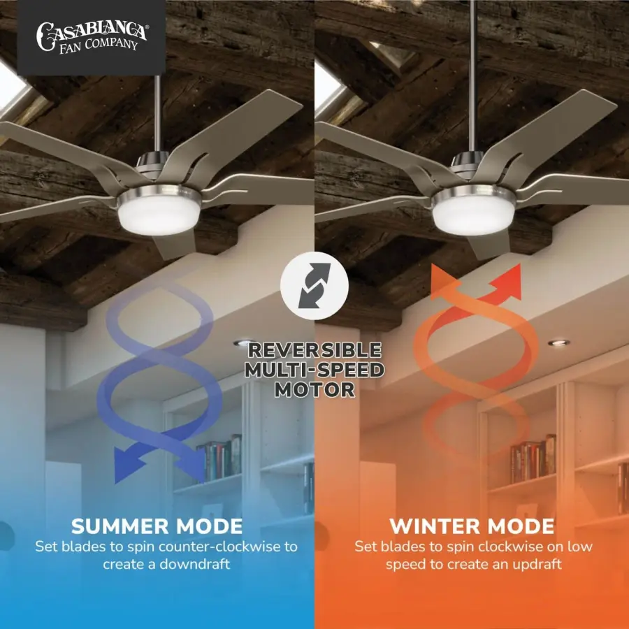 Correne 56" LED Ceiling Fan with Light - Image 14