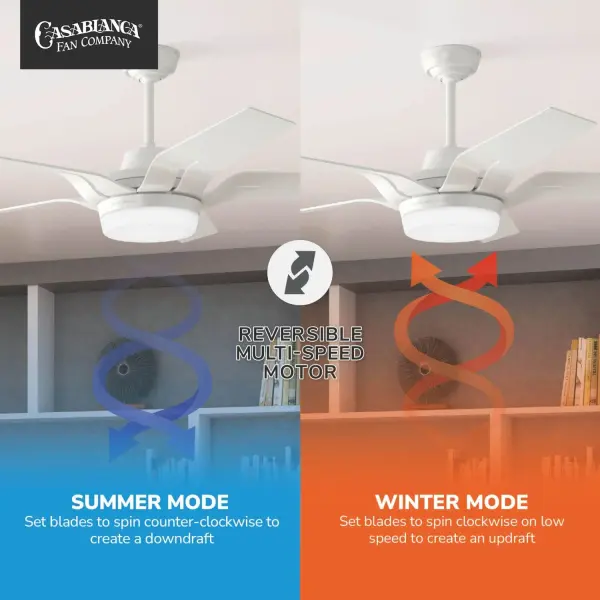 Correne 56" LED Ceiling Fan with Light - Image 15