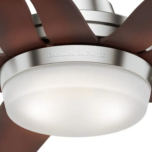 Correne 56" LED Ceiling Fan with Light - Image 25
