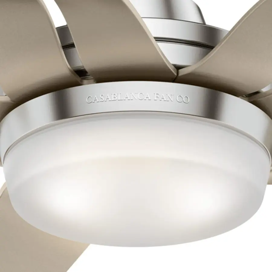 Correne 56" LED Ceiling Fan with Light - Image 26