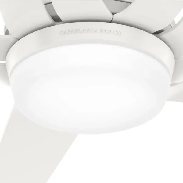 Correne 56" LED Ceiling Fan with Light - Image 27