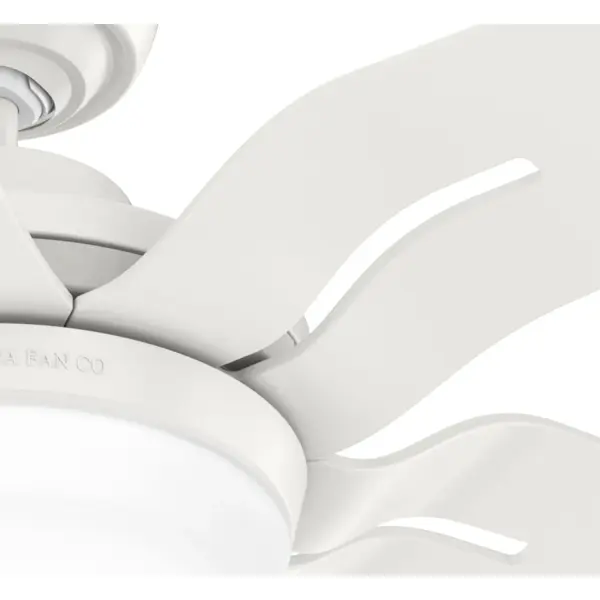 Correne 56" LED Ceiling Fan with Light - Image 28