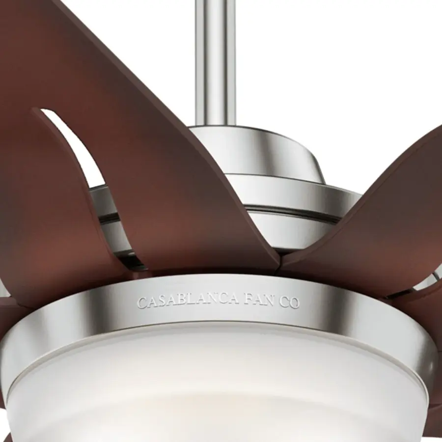 Correne 56" LED Ceiling Fan with Light - Image 29
