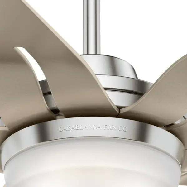 Correne 56" LED Ceiling Fan with Light - Image 30