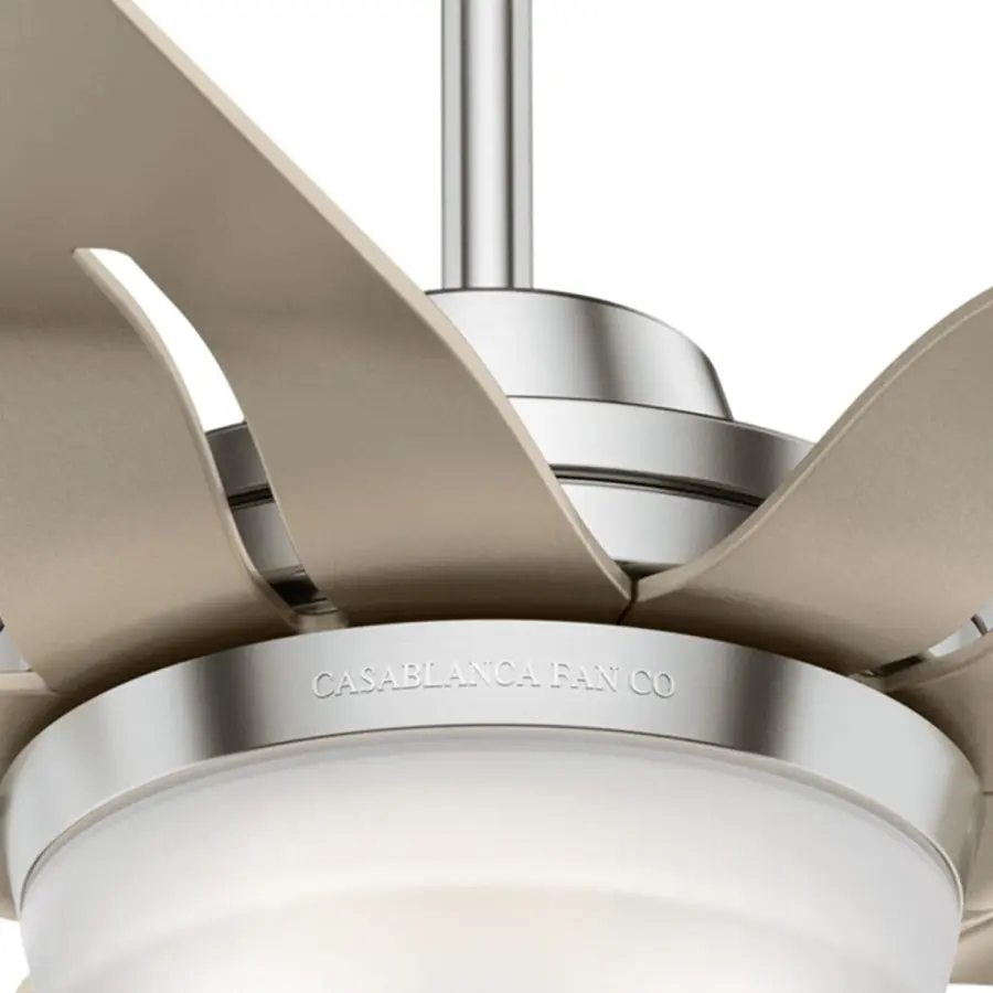 Correne 56" LED Ceiling Fan with Light - Image 30