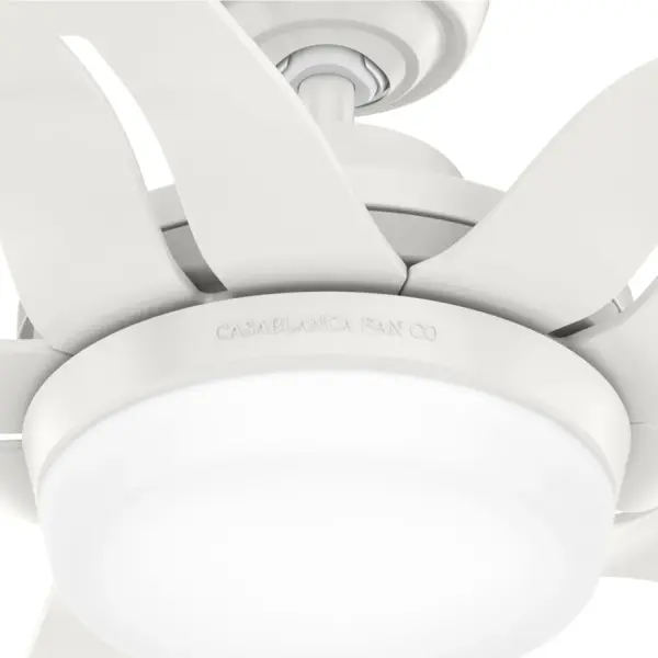 Correne 56" LED Ceiling Fan with Light - Image 31
