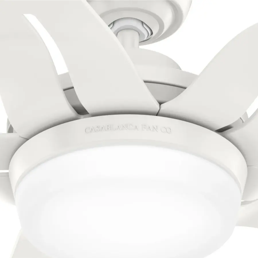 Correne 56" LED Ceiling Fan with Light - Image 31
