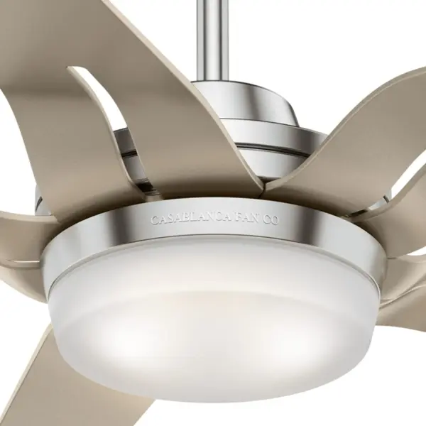 Correne 56" LED Ceiling Fan with Light - Image 33