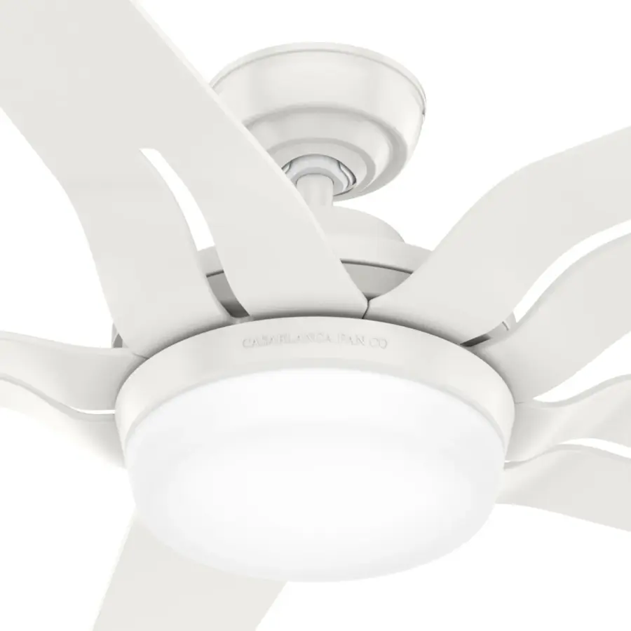 Correne 56" LED Ceiling Fan with Light - Image 34