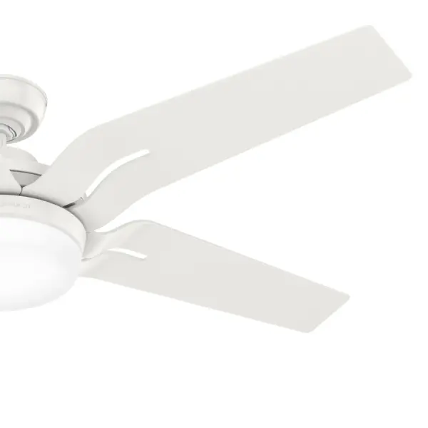 Correne 56" LED Ceiling Fan with Light - Image 37