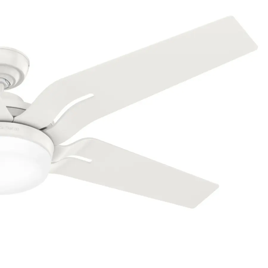Correne 56" LED Ceiling Fan with Light - Image 37