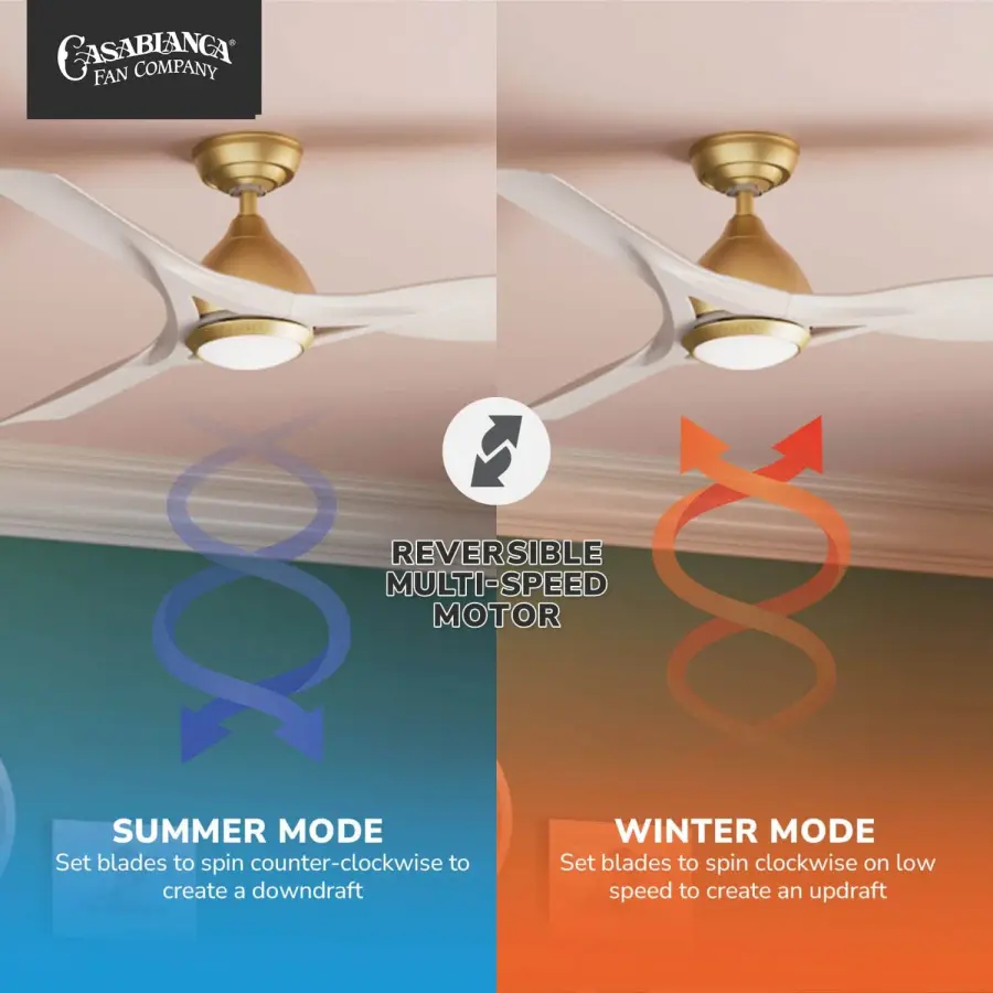 Elise 54" Outdoor Ceiling Fan with LED Light - Image 8
