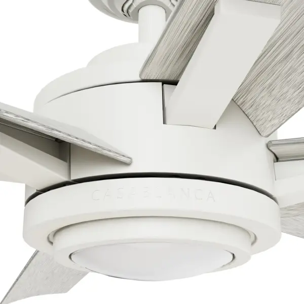 Melia Outdoor 65" Ceiling Fan with LED Light - Image 38