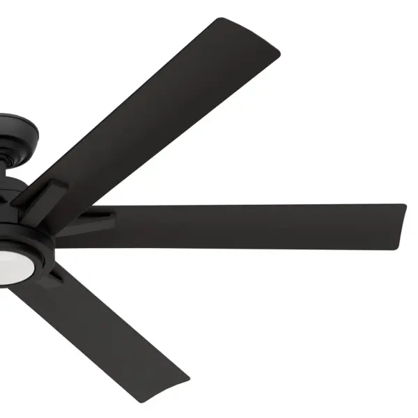Melia Outdoor 65" Ceiling Fan with LED Light - Image 46