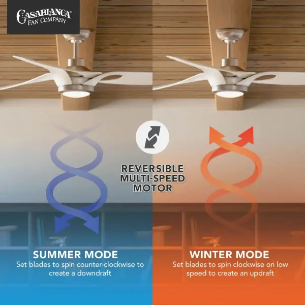 Inez Outdoor 60" Ceiling Fan with LED Light - Image 15