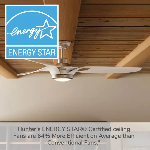 Inez Outdoor 60" Ceiling Fan with LED Light - Image 35