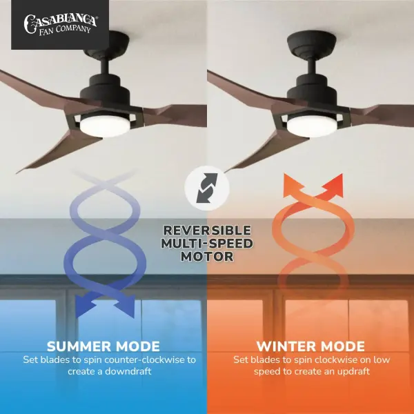 Eula 52" Outdoor Ceiling Fan with LED Light - Image 13