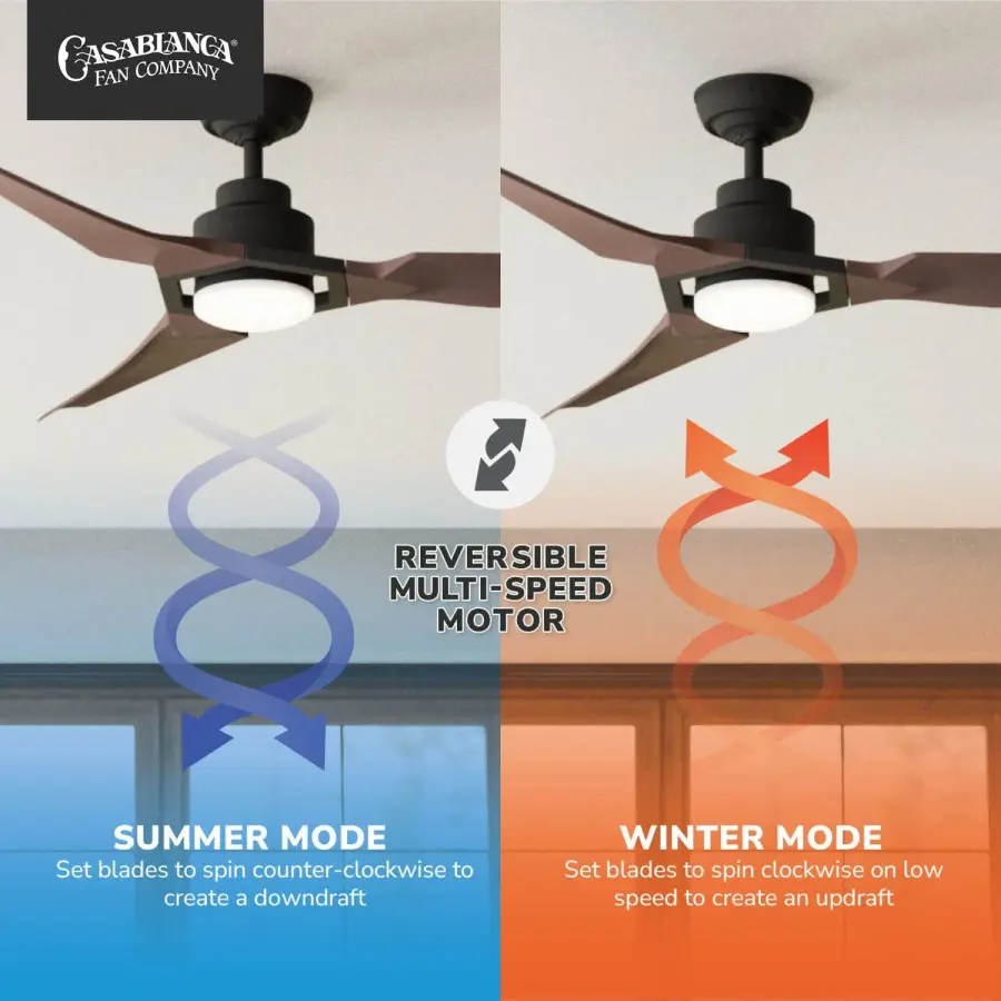 Eula 52" Outdoor Ceiling Fan with LED Light - Image 13