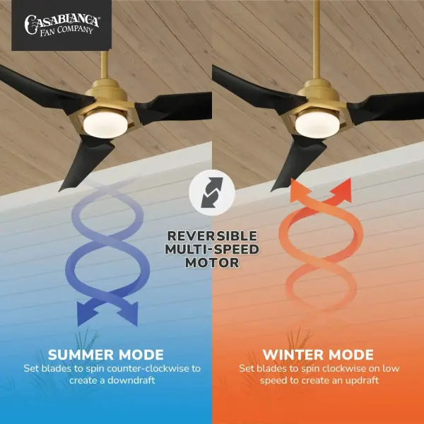 Eula 52" Outdoor Ceiling Fan with LED Light - Image 14
