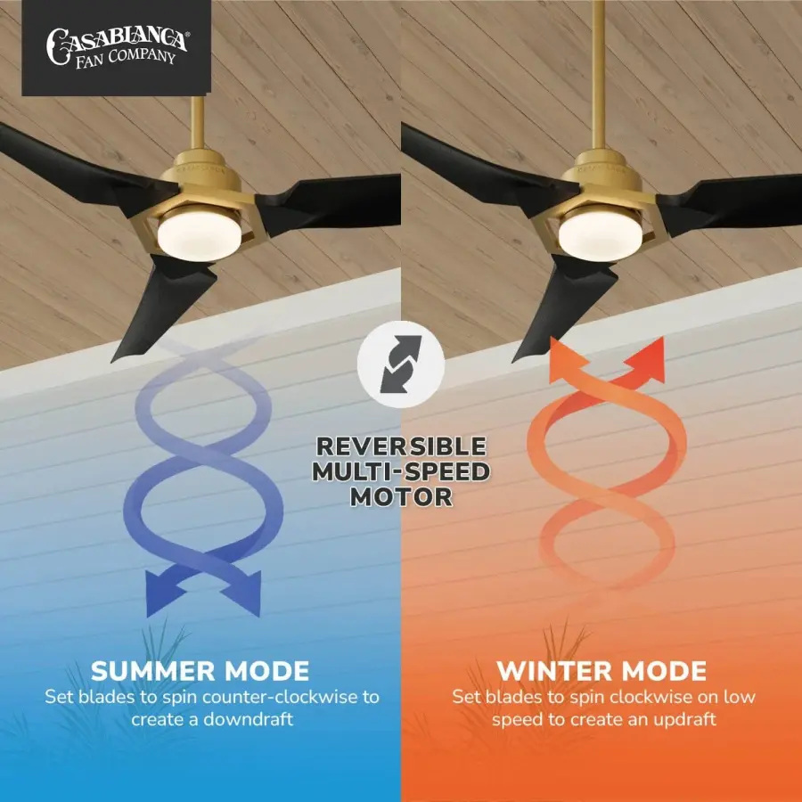 Eula 52" Outdoor Ceiling Fan with LED Light - Image 14