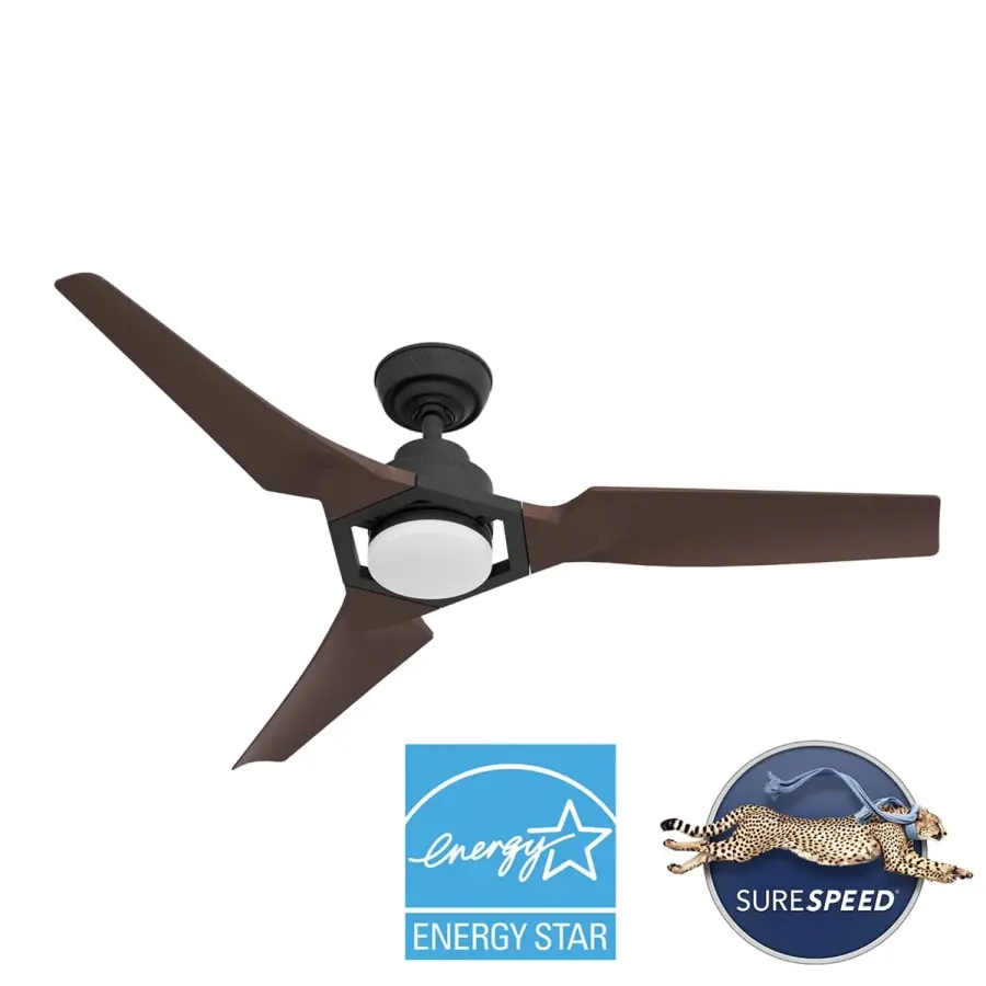 Eula 52" Outdoor Ceiling Fan with LED Light - Image 31